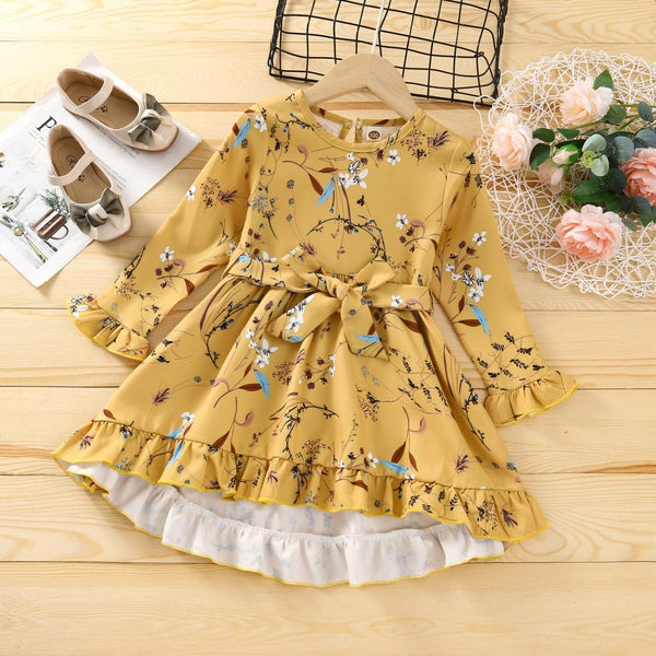 Fall Girls Princess Print Ruffle Dress Wholesale Girls Dress
