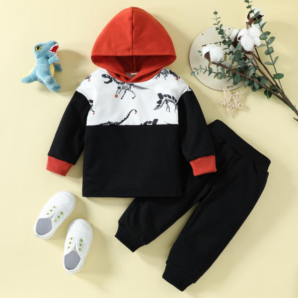 Autumn Dinosaur Print Colorblock Hooded Top Trousers Boys Suit Wholesale Boys Clothes