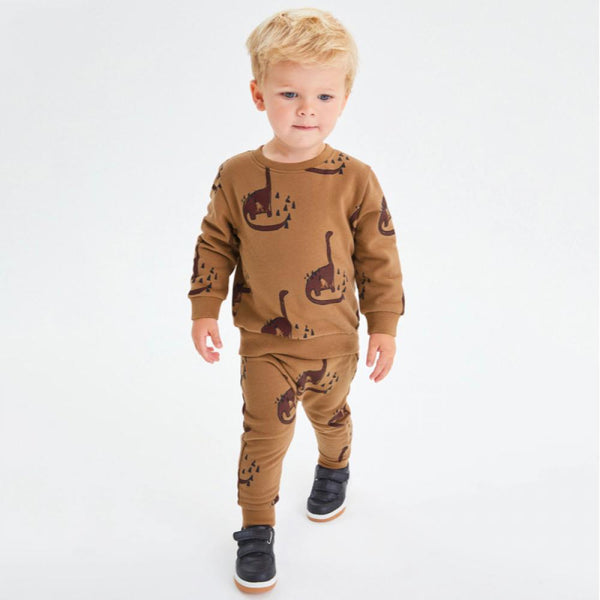 Toddler Boys Autumn Dinosaur Top and Pants Set Wholesale Girl Clothing